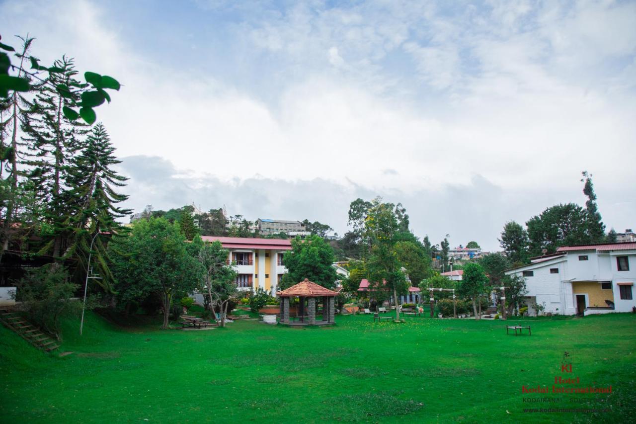 Kodai International 3*
