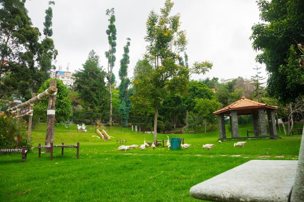 Kodai International Resort